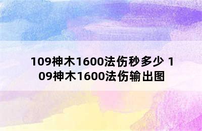 109神木1600法伤秒多少 109神木1600法伤输出图